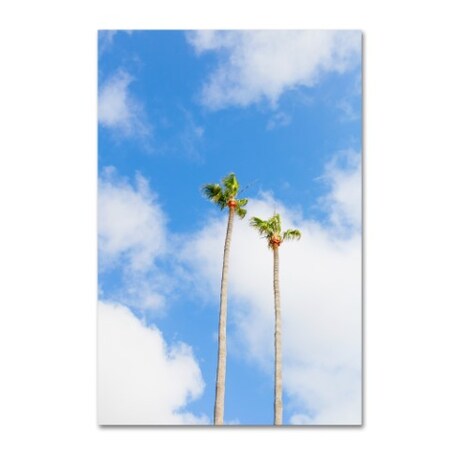 Trademark Fine Art Ariane Moshayedi 'Palms 2' Canvas Art, 12x19 AM0228-C1219GG